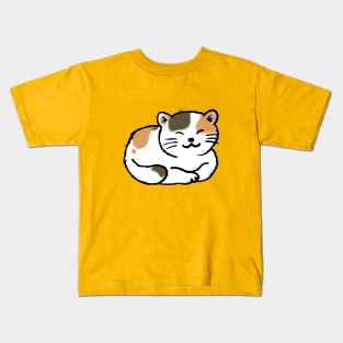sleepy calico cat Kids T-Shirt